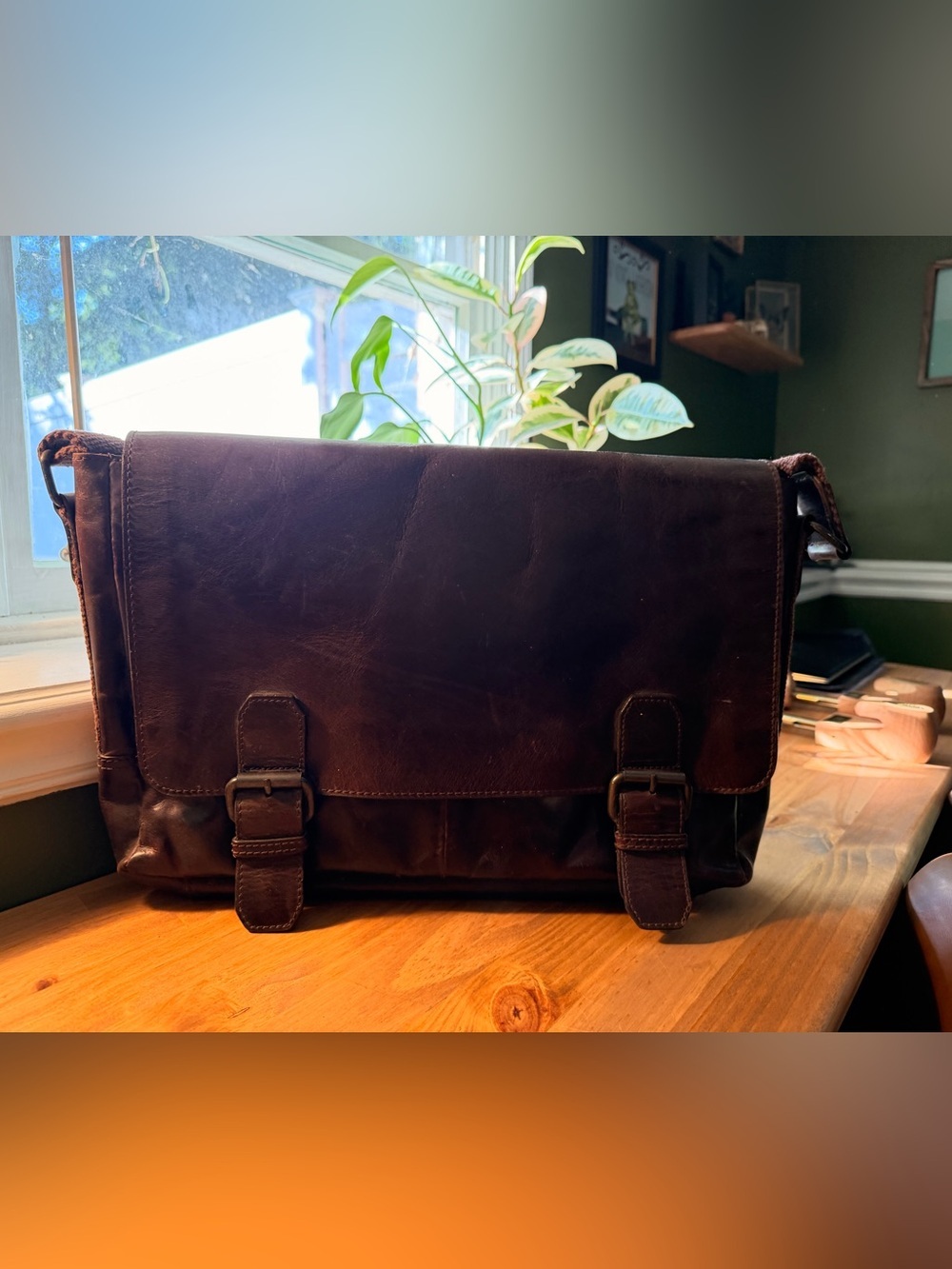 Wilsons Leather Dark Brown Men's Messenger Bag